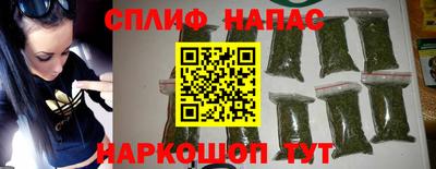 прущие грибы Ирбит