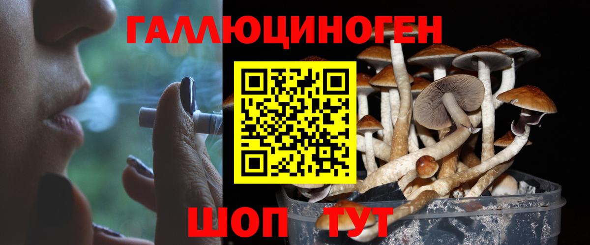 Черногорск  Псилоцибиновые грибы ЛСД  Псилоцибиновые грибы MAGIC MUSHROOMS  Вход с VPN 